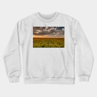 Sunflower Sunset Clouds Crewneck Sweatshirt